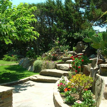 Localita' La Pelosa Via Punta D'Elice N° 9 Стинтино Экстерьер фото